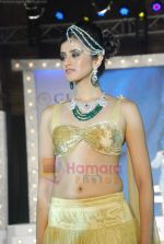 at Glam fashion show by All India Gems and Jewellery Trade Federation in Grand Hyatt, Mumbai on 8th Aug 2011 (70).JPG